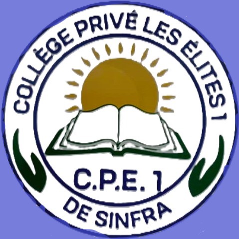 COLLEGE PRIVE LES ELITES DE SINFRA